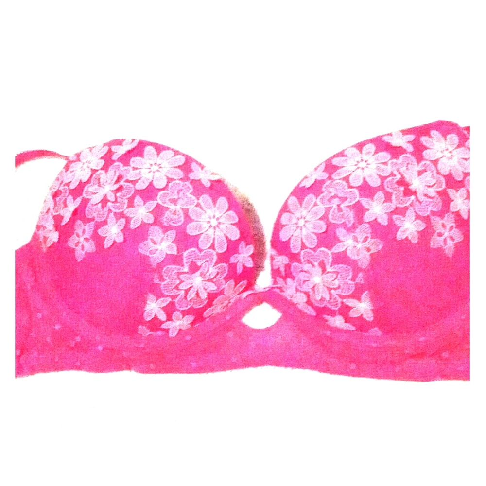 Aerie Lace Flowered Push Up Bra